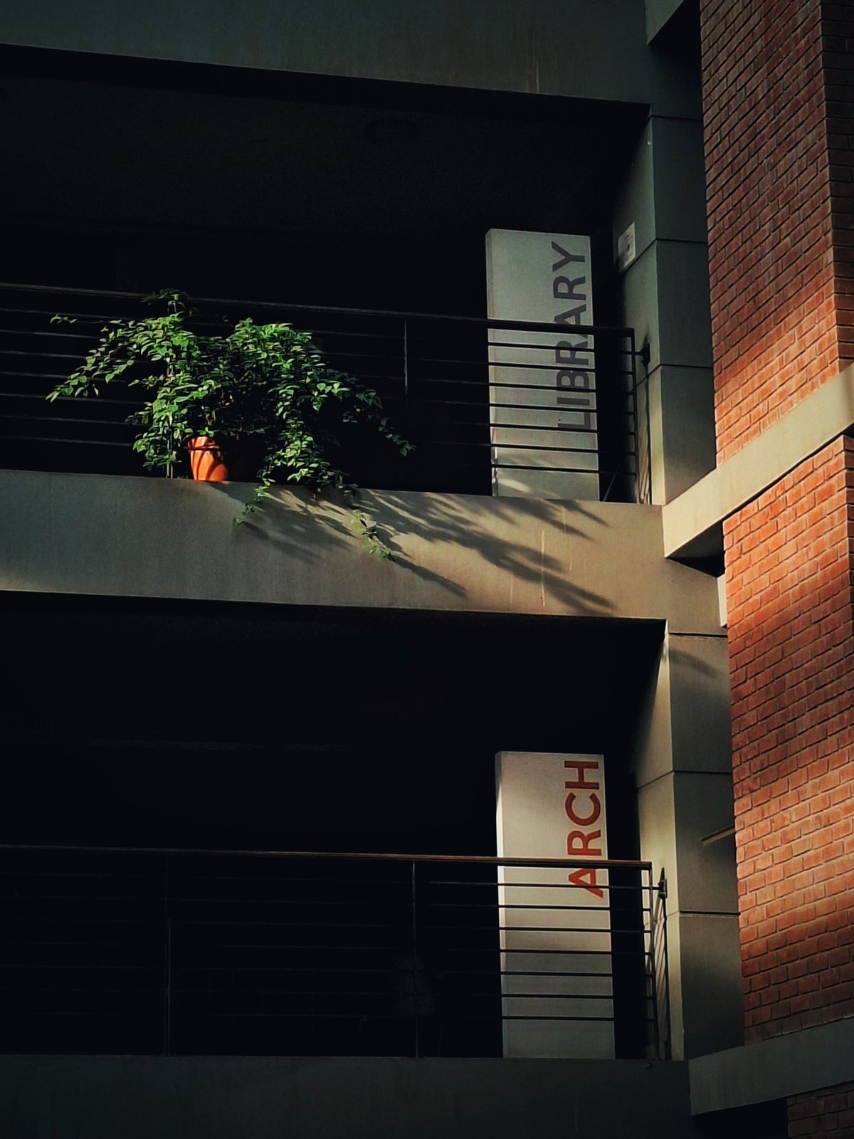 The Afterclass Afternoon.